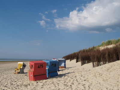 海滩上的 langeoog