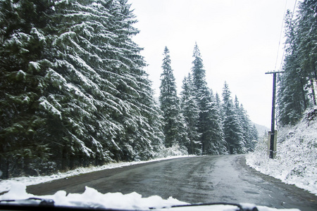 冬季道路和树木覆盖着雪