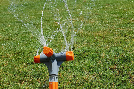 自动洒水系统浇水草坪上的背景绿色草地, 特写