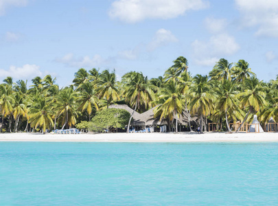 加勒比海, 绿松石水和棕榈树靠近 Saona 岛