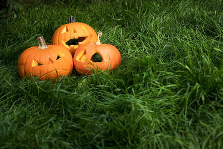 halloweeen 在草地上雕刻南瓜。南瓜灯