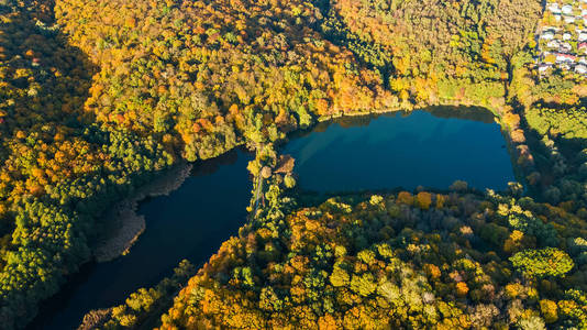 金黄秋天背景, 空中无人机风景森林与黄色树和美丽的湖风景从上面, 基辅, Goloseevo 森林, 乌克兰