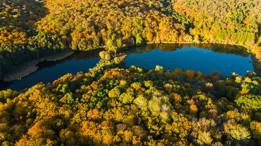 金黄秋天背景, 空中无人机风景森林与黄色树和美丽的湖风景从上面, 基辅, Goloseevo 森林, 乌克兰