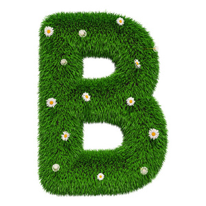 字母 B 从绿色草与花, 3d 渲染被隔绝在白色背景上