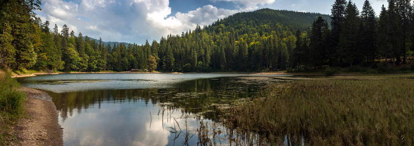 美丽的景色, 山上的湖泊和群山覆盖森林在夏季。受欢迎的旅游景点。乌克兰喀尔巴阡山湖 Sinevir 的梦幻风光