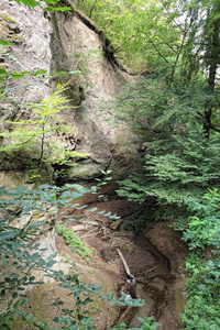 景观, 而徒步旅行中的 Wolfsschlucht engl。狼峡谷 在 Eifel 地区在德国。穿过软火山岩形成峡谷的古老