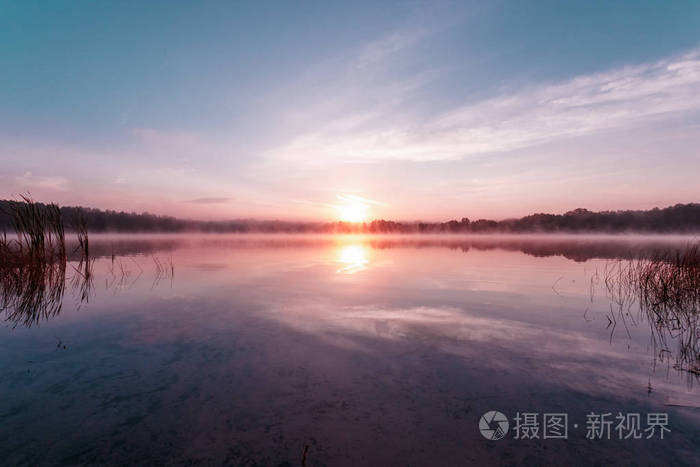 美丽粉红色的紫罗兰黎明在湖上湖面上的雾气太阳的光芒浓雾黎明湖面上
