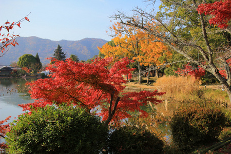 在秋天的季节京都 daikakuji