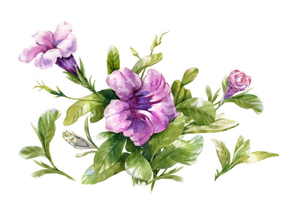 叶子和花的水彩画作品照片