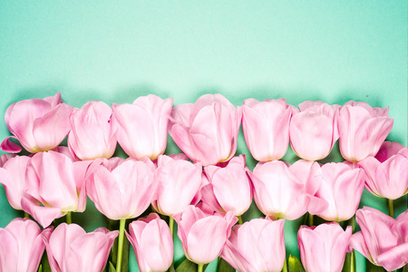 春天的花朵横幅一束粉红色的郁金香花在蓝天背景下