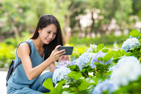 女子在花园花绣球上拍照