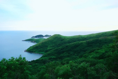 高高的海滨绿树崖, 神奇的大自然