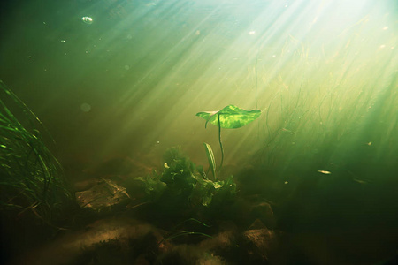水下湖泊生态系统与太阳射线