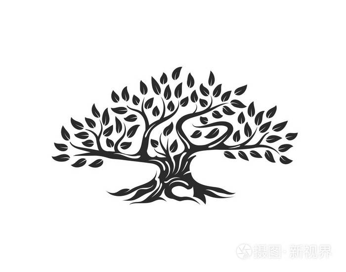 有机天然和健康的橄榄树剪影标志被隔离在白色背景.