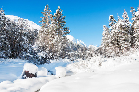 降雪后冬季森林和山河