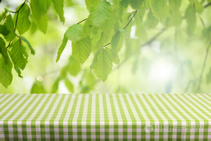 摄图新视界 照片 纹理背景 带彩色格子桌布的空桌子.jpg