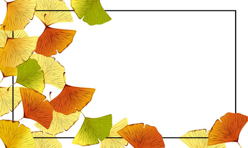 秋银杏叶框架背景。矢量插图