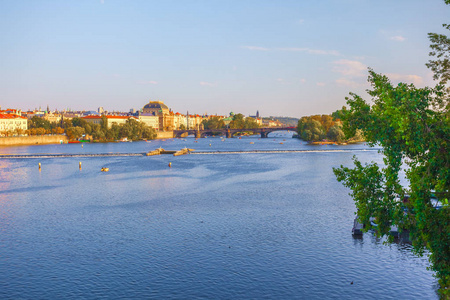 从布拉格的查尔斯桥看 Vitava 河, 美丽的夏日