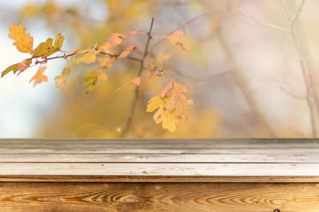 秋季背景空木桌