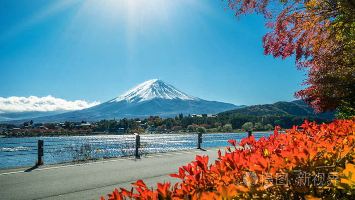 富士山 日本 多彩秋天湖河口湖是在日本享受的枫叶变化的颜色 使图像的那些叶子框架富士山富士山风景最好的地方之一照片 正版商用图片0syv69 摄图新视界 富士山 日本 多彩秋天湖河口湖是在日本享受的枫叶变化的颜色 使图像的那些叶子框架富士山富士山风景最好的地方之一照片 正版商用图片0syv69 摄图新视界