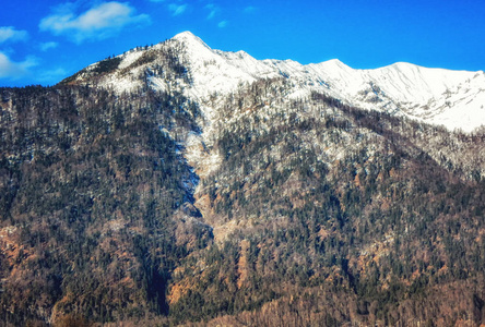 冬季的山与新鲜的雪, 奥地利, 上奥地利, 萨尔茨卡默古特