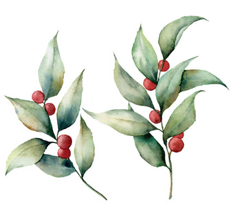 水彩越橘浆果。手绘花卉插图, 叶子和树枝在白色背景下分离。设计或印刷用植物元素