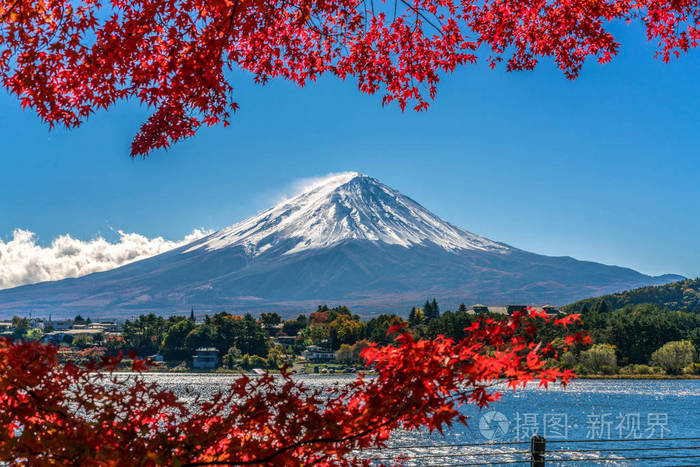 富士山 日本 多彩秋天湖河口湖是在日本享受的枫叶变化的颜色 使图像的那些叶子框架富士山富士山风景最好的地方之一照片 正版商用图片0sz47n 摄图新视界 富士山 日本 多彩秋天湖河口湖是在日本享受的枫叶变化的颜色 使图像的那些叶子框架富士山富士山风景最好的地方之一照片 正版商用图片0sz47n 摄图新视界