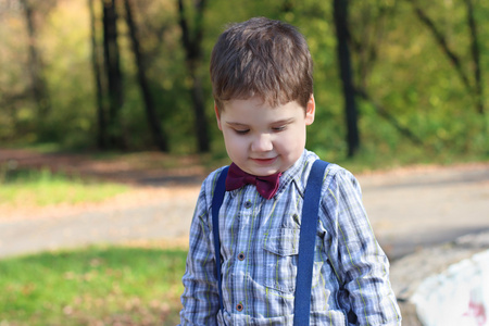 微笑着领结的小男孩看不起在阳光灿烂的绿色公园
