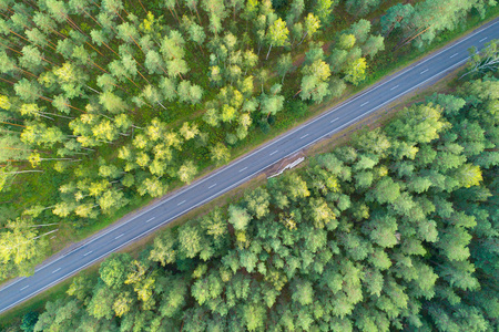 绿色森林的道路。从上面自由的道路视图。空中风景