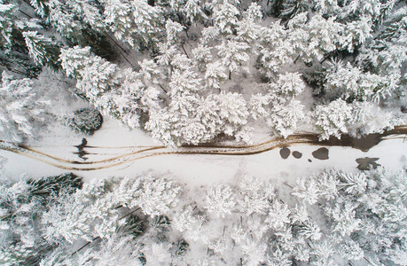 冬季森林。冬季空中景观。从上面的雪视图覆盖的树木。冬季背景