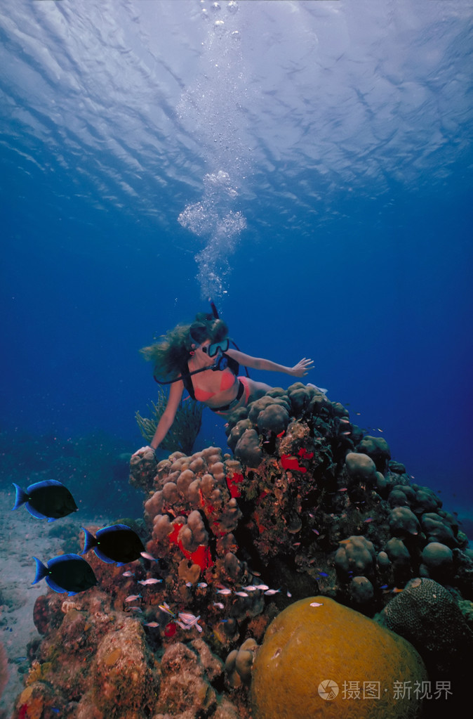 比基尼性感女性加勒比员