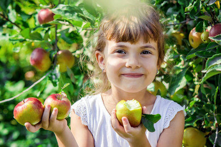 一个苹果的孩子。选择性对焦。花园食品