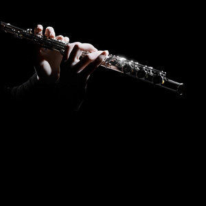 长笛音乐会图片