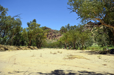 澳大利亚, Nt, Trephina 峡谷东麦范围国家公园, 干河床和桉树树