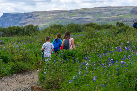 一个家庭徒步旅行附近美丽的 Glymur 瀑布在 Hvalfjordur 峡湾边缘, 冰岛