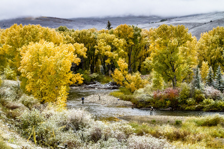 秋天的色彩和科罗拉多州的雪