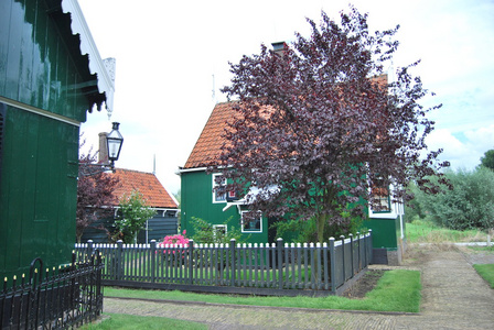 传统的荷兰老房子在桑斯安斯 Schans赞丹博物馆村庄建设