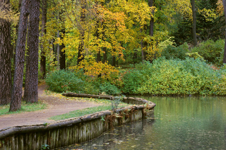 秋天森林风景树池塘和下落的金黄叶子和小径
