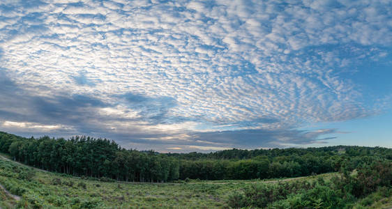 令人惊叹的鲭鱼天空 cirrocumulus 高积云云编队在夏季天空景观