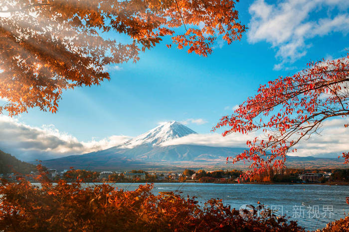 富士山 日本 多彩秋天湖河口湖是在日本享受的枫叶变化的颜色 使图像的那些叶子框架富士山富士山风景最好的地方之一照片 正版商用图片0sznur 摄图新视界 富士山 日本 多彩秋天湖河口湖是在日本享受的枫叶变化的颜色 使图像的那些叶子框架富士山富士山风景最好的地方之一照片 正版商用图片0sznur 摄图新视界