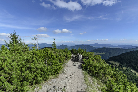 在阳光明媚的日子, 斯洛伐克的小 Rozsutec 山上的小径。欧洲