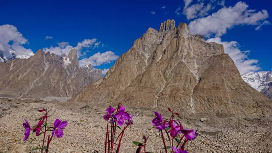 Trango 塔和巴尔托洛冰川喀喇昆仑山巴基斯坦