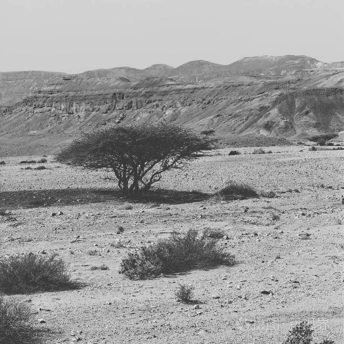 惊人的景观和中东的性质.黑白照片