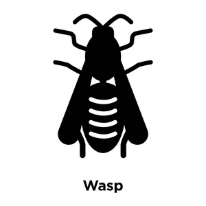 黄蜂图标向量被隔离在白色背景上, 标志概念的黄蜂标志上透明背景, 填充黑色符号