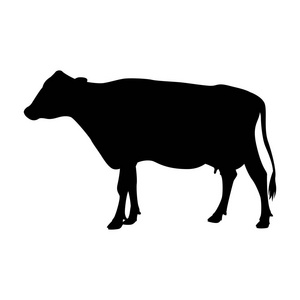 牛矢量插图黑色剪影轮廓