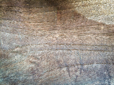古老的木背. 树皮木材的纹理用作天然的背景