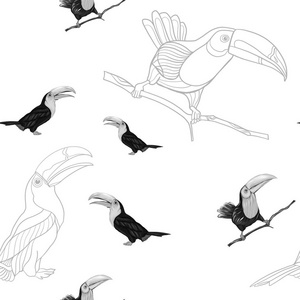无缝模式, 背景与鸟类。矢量插图