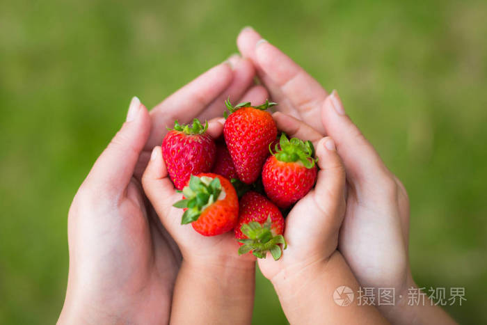 父母和孩子一起在花园里吃草莓照片-正版商用图片0t04ob-摄图新视界