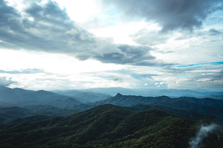 山景山景观绿化山