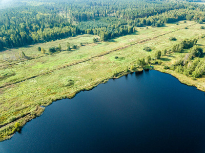 无人机图像。农村地区与田野和森林湖泊的鸟瞰图。拉脱维亚阳光明媚的一天